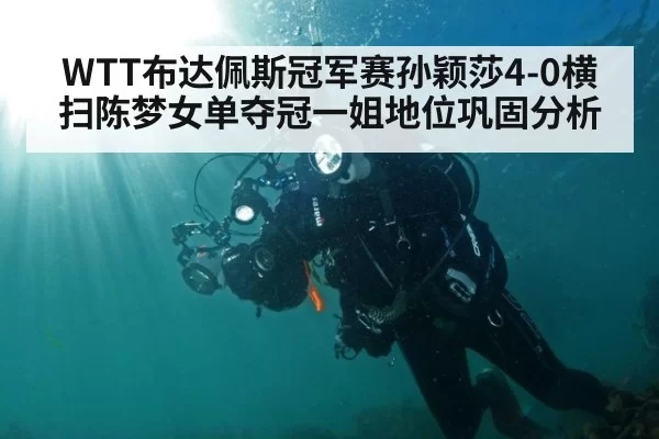 WTT布达佩斯冠军赛孙颖莎4-0横扫陈梦女单夺冠一姐地位巩固分析