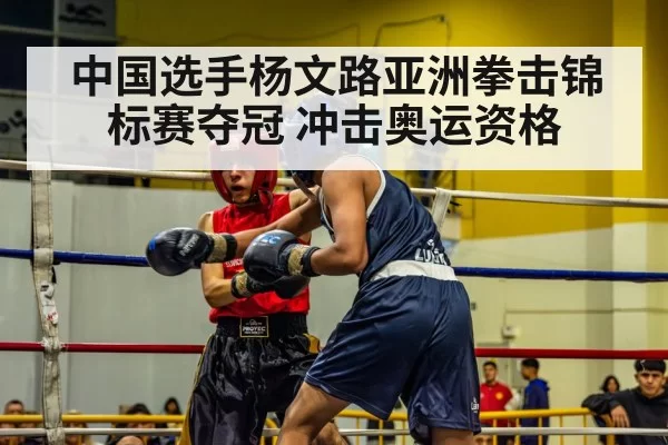 中国选手杨文路亚洲拳击锦标赛夺冠 冲击奥运资格
