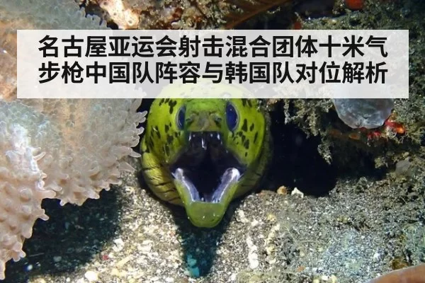 名古屋亚运会射击混合团体十米气步枪中国队阵容与韩国队对位解析